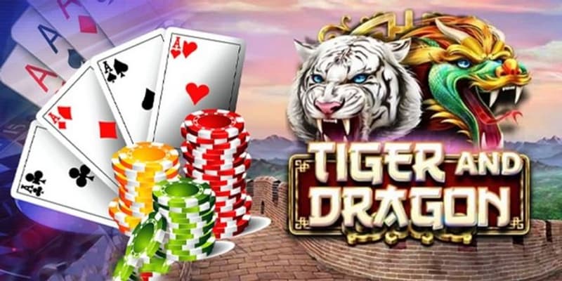 Rồng hổ giới thiệu chung